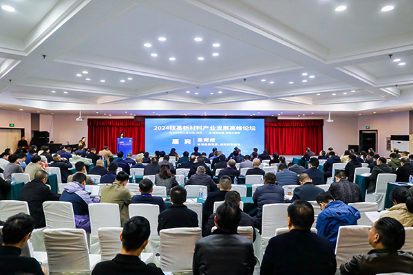頂立科技參加硅基新材料高峰論壇，分享高純石英制備熱工裝備最新技術(shù) (2).jpg